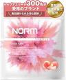 NORM ホエイプロテイン