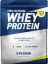 X-PLOSION プロテイン 3kg WPC